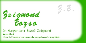 zsigmond bozso business card
